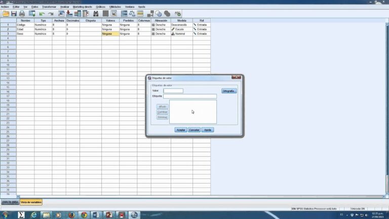 Gu A Exacta Para Citar Ibm Spss Statistics V En Windows